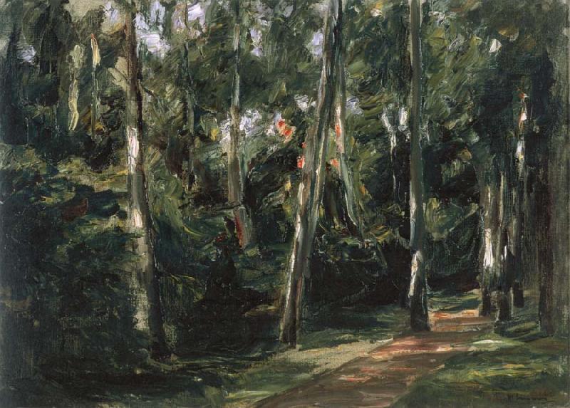  The Birch-Lined Avenue in the Wannsee Garden Facing Southwest